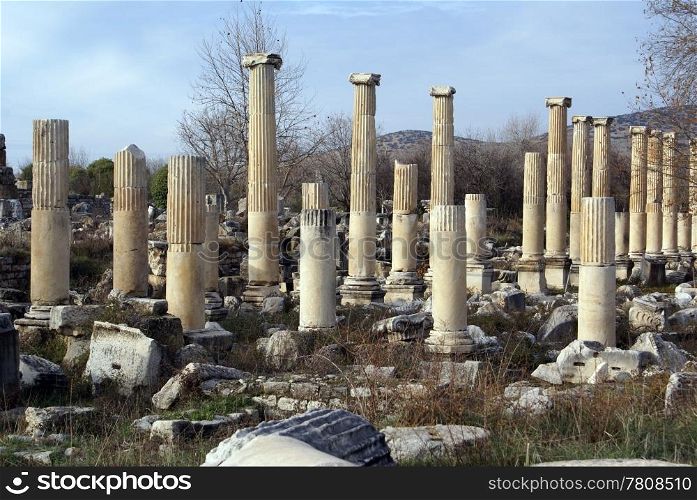 Columns, ruins and trees in Aphrosisias, Turkey