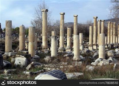 Columns, ruins and trees in Aphrosisias, Turkey