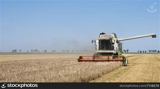 combine harvester during barley harvest in the countryside of north groningen in the netherlands under blue sky