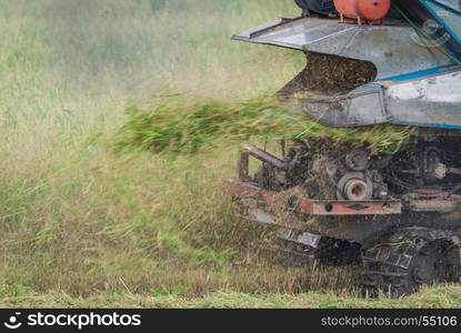 Combine harvester gathering to harvest rice in a field.