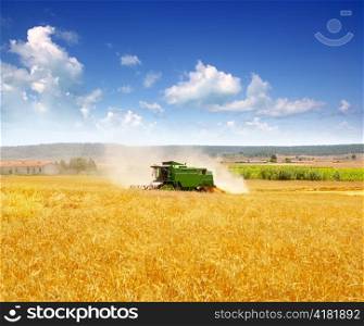 Combine harvester harvesting wheat cereal in farm
