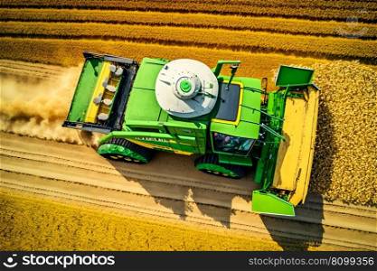 Combine harvester harvests ripe wheat on agriculture field. Neural network AI generated art. Combine harvester harvests ripe wheat on agriculture field. Neural network generated art