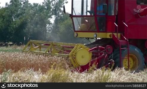 Combine harvester working in the field of wheat