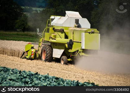 Combine harvesting corn on a German field. The corn stays in the combine while the stalks and husks get spit out at the back of the machine.