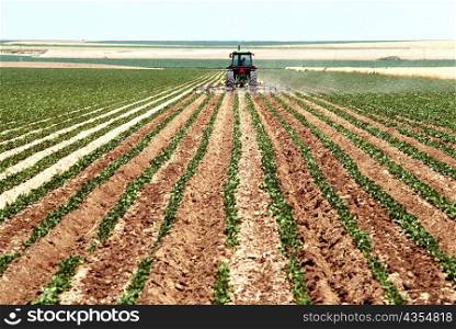 Combine Plowing soy bean field, Colorado
