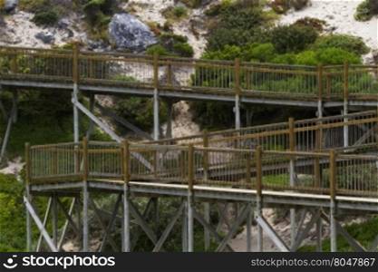 Comfortable, wood boardwalk at Seal Bay Conservation Park on Kangaroo Island, South Australia, allows for ease of viewing a colony of Australia sea lions (Neophoca cinerea).