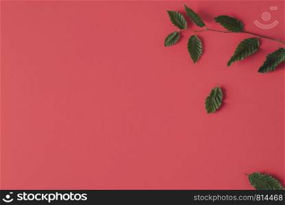 Coming of autumn season concept with leaves falling from tree twig on a peach-colored background. Flat lay of fall backdrop.