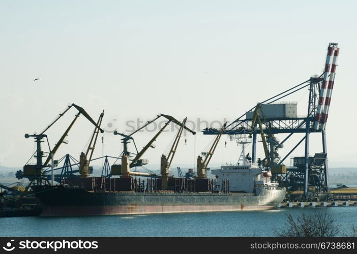Commercial port cranes. Cranes in a port