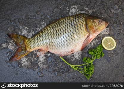 Common carp freshwater fish market, Carp fish, Fresh raw fish on ice for cooked food with lemon on dark background
