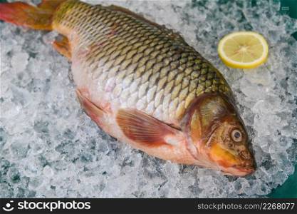 Common carp freshwater fish market, Carp fish, Fresh raw fish on ice for cooked food with lemon background