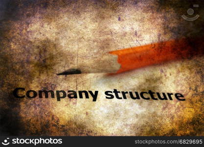 Company structure text on grunge background