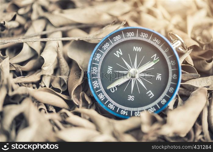 Compass on dry leaves with light. Instrument for determining directions placed. Travel background concept.