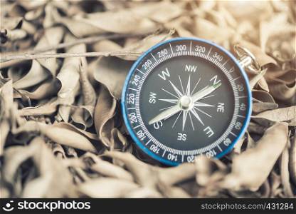 Compass on dry leaves with light. Instrument for determining directions placed. Travel background concept.