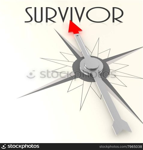 Compass with survivor word image with hi-res rendered artwork that could be used for any graphic design.. Care compass