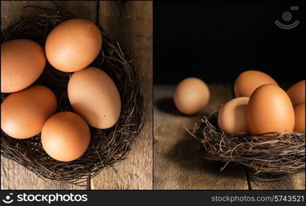 Compilation of fresh eggs images in moody natural lighting setting with vintage style