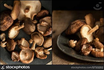 Compilation of images of Fresh shiitake mushrooms in moody natural light setting with vintage style. food, fresh, raw, fruit, vegetables, wood, wooden, background, grunge, retro, vintage, moody, dark,