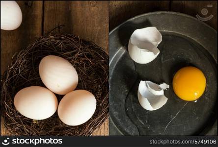 Compilation of vintage style moody creative lighting duck eggs