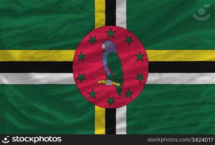 complete national flag of dominica covers whole frame, waved, crunched and very natural looking. It is perfect for background