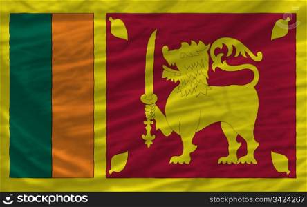 complete national flag of srilanka covers whole frame, waved, crunched and very natural looking. It is perfect for background