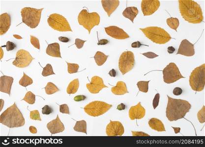 composition dried leaves acorns