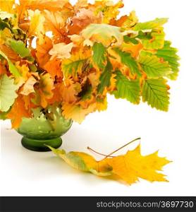 composition of autumn leaves isolated on white background