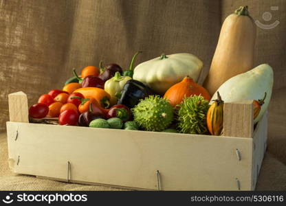 composition of different kind of vegetables on sepia background