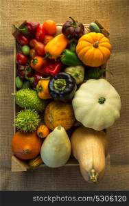 composition of different kind of vegetables on sepia background