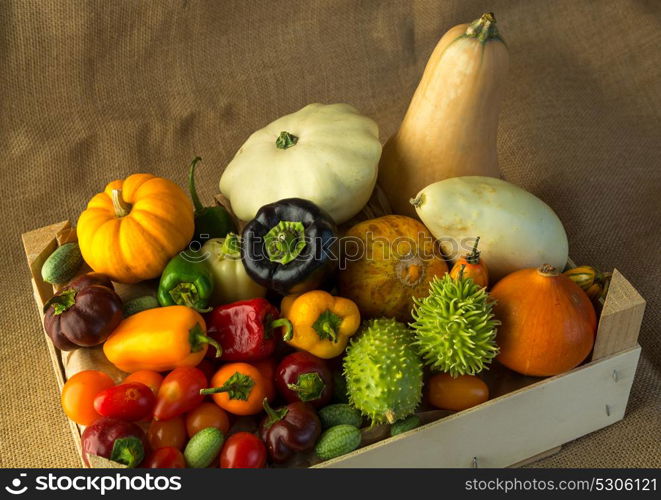 composition of different kind of vegetables on sepia background