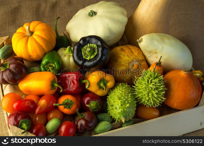 composition of different kind of vegetables on sepia background