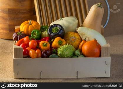 composition of different kind of vegetables on sepia background