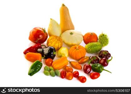 composition of different vegetables against white background