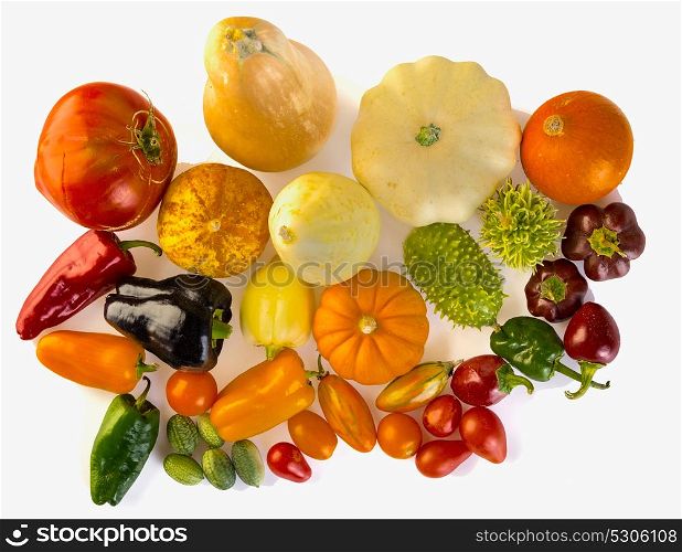 composition of different vegetables against white background