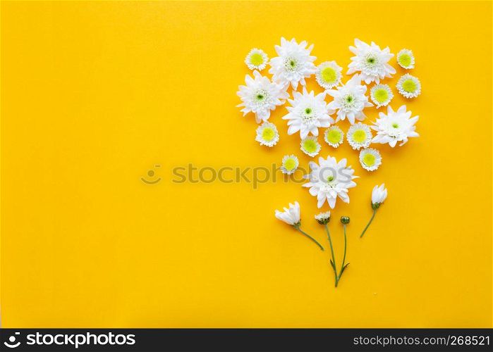 Composition of flowers, Chrysanthemums on yellow paper background. Copy space