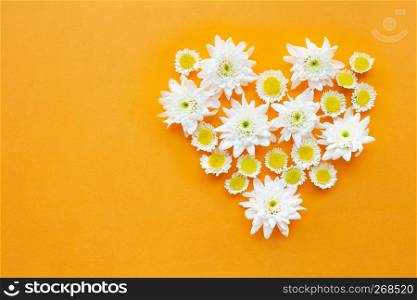 Composition of flowers, Chrysanthemums on yellow paper background. Top view
