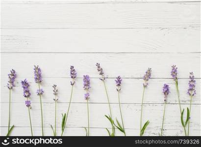 Composition of lavender on white wooden background. Border of violet fresh flowers. Free space. Top view. Composition of lavender on white wooden background. Border of fresh summer flowers. Free space