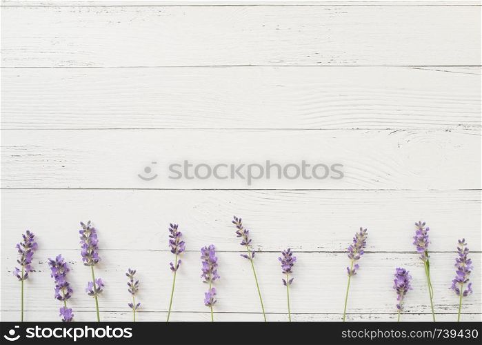 Composition of lavender on white wooden background. Border of violet fresh flowers. Free space. Top view. Composition of lavender on white wooden background. Border of violet fresh flowers. Free space