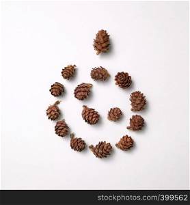 Composition of pine cones in the form of a spiral on a gray background with space for text. Natural layout. Flat lay. Pine cones in the shape of a cones presented on a gray background with copy space for text. Natural composition