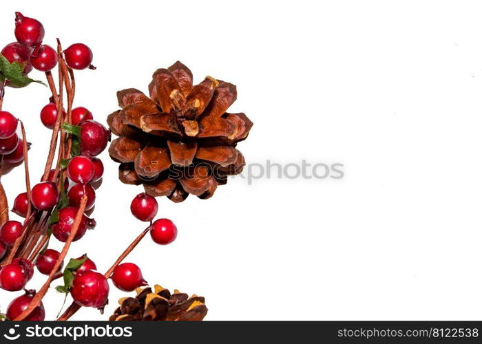 Composition of red New Year berries and cones on a white background. Place for your text.