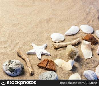 Composition of Seashells on sand with copy space.