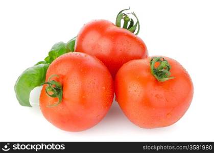 Composition of: tomato and basil leaves Isolated on white background.