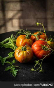 Composition of variety mix colorful tomatoes. Fresh tomatoes on Rustic stile dark background.. Mix colorful tomatoes