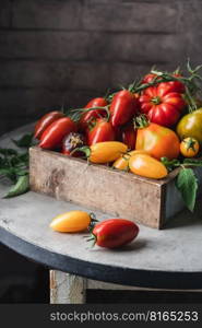 Composition of variety mix colorful tomatoes. Fresh tomatoes on Rustic stile dark background.. Mix colorful tomatoes