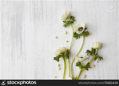Composition of white flowers over concrete background, copy space. Beautiful white flowers