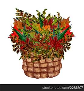 Composition with autumn leaves maple, oak in a basket. Watercolor Illustration with autumn elements. Bouquet from colorful dried leaves.. Bouquet from colorful dried leaves. Composition with autumn leaves maple, ok in a basket