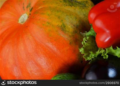 Composition with fresh vegetables closeup on wooden board