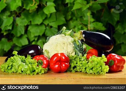 Composition with fresh vegetables on wooden board