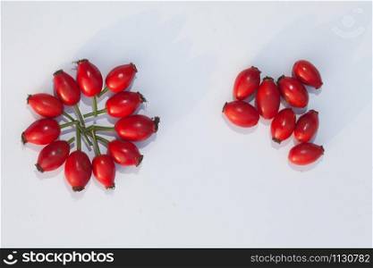 Composition with Hawthorn fruits with uniform background