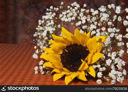 composition with small sunflowers on colored background