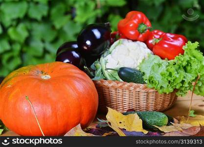 Composition with vegetables in wicker basket on wooden board