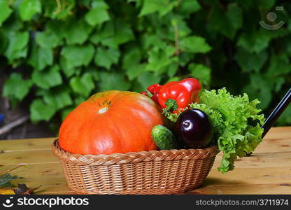 Composition with vegetables in wicker basket on wooden board